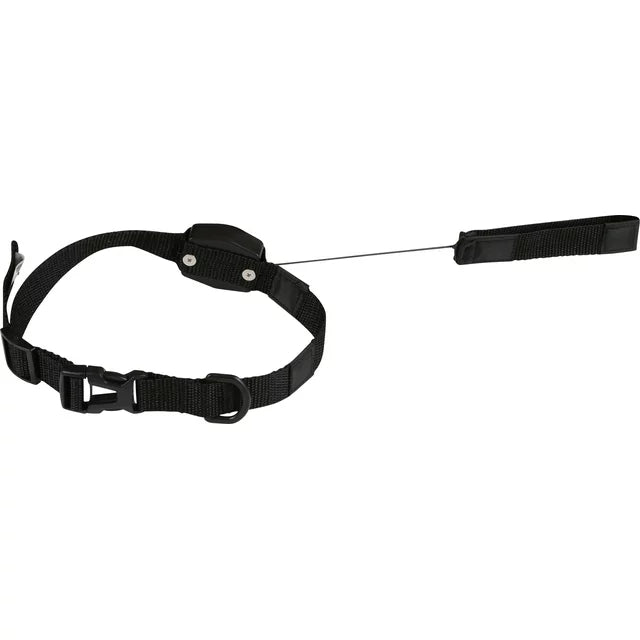 Lucky Leash Retractable Leash & Collar - Size Small/Medium (10-35 lbs), As Seen on TV (pack of 2)