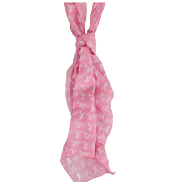 Breast Cancer Awareness Scarf Pink 60" X 11" Be Strong Words White Ribbon Logo 2pk