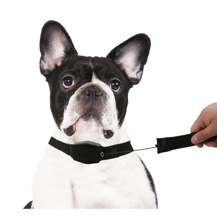 Lucky Leash Retractable Leash & Collar - Size Small/Medium (10-35 lbs), As Seen on TV (pack of 2)
