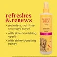 Burt's Bees for Dogs Natural Waterless Shampoo Spray with Apple and Honey | Dry Dog Shampoo for All Dogs and Puppies | Best Puppy and Dog Spray | Cruelty Free, Sulfate & Paraben Free, 10 Ounces