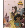 Disney Princess 2 Pack Placemats