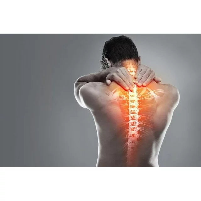 Coralite Muscle & Joint Pain Relief Patch, 20 Count 2pk