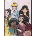 Disney Princess 2 Pack Placemats