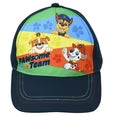 Nickelodeon Pawsome Team Stainless Steel Kids Baseball Hat