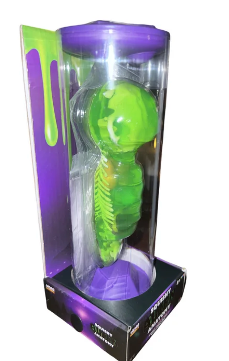 Weird Science Squishy Alien Anatomy��