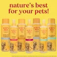 Burt's Bees for Dogs Natural Waterless Shampoo Spray with Apple and Honey | Dry Dog Shampoo for All Dogs and Puppies | Best Puppy and Dog Spray | Cruelty Free, Sulfate & Paraben Free, 10 Ounces